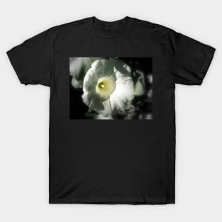 morning glory T-Shirt